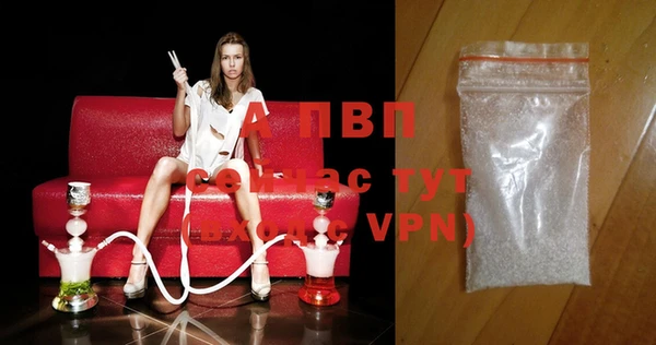 прущие грибы Дмитровск