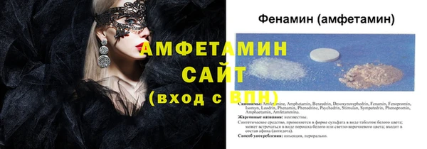 прущие грибы Дмитровск