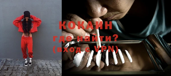 прущие грибы Дмитровск