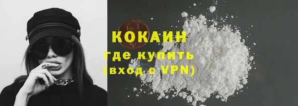 прущие грибы Дмитровск