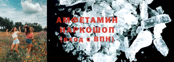 прущие грибы Дмитровск