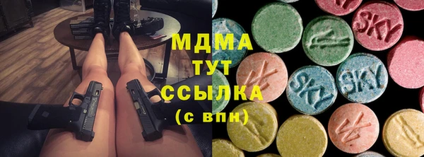 прущие грибы Дмитровск