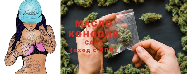метамфетамин Ельня