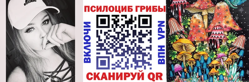 KRAKEN как зайти  где купить наркоту  Миллерово  Галлюциногенные грибы мицелий 